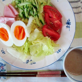 具タップリのサラダ付け麺